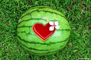 Watermelon by I Love